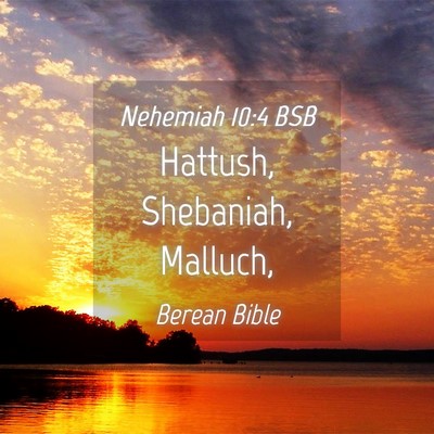 Picture 04 - Nehemiah 10:4 BSB - Hattush, Shebaniah, - Bible Verse Picture