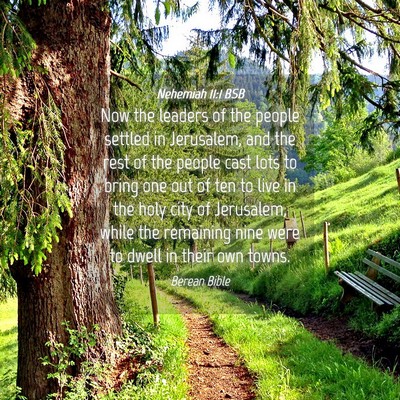 Picture 04 - Nehemiah 11:1 BSB - Now the leaders of the people settled in - Bible Verse Picture