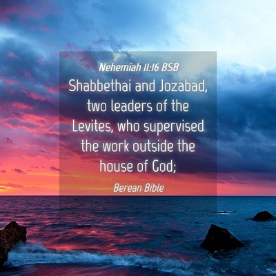 Picture 04 - Nehemiah 11:16 BSB - Shabbethai and Jozabad, two leaders of the - Bible Verse Picture