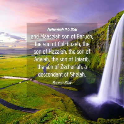 Picture 04 - Nehemiah 11:5 BSB - and Maaseiah son of Baruch, the son of Col-hozeh, - Bible Verse Picture
