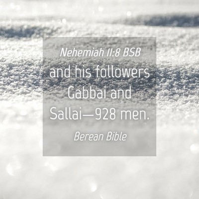 Picture 04 - Nehemiah 11:8 BSB - and his followers Gabbai and Sallai—928 - Bible Verse Picture