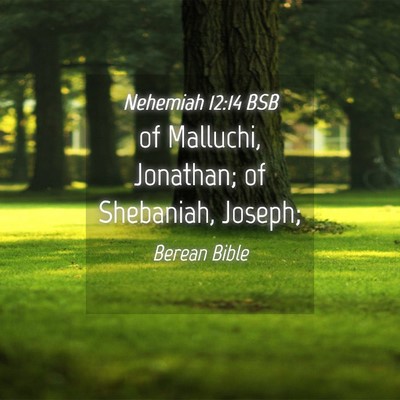 Picture 04 - Nehemiah 12:14 BSB - of Malluchi, Jonathan; of Shebaniah, - Bible Verse Picture