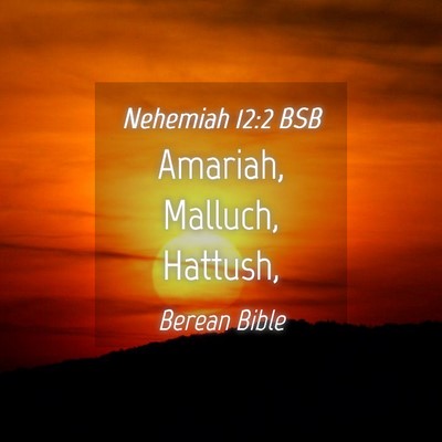 Picture 04 - Nehemiah 12:2 BSB - Amariah, Malluch, - Bible Verse Picture