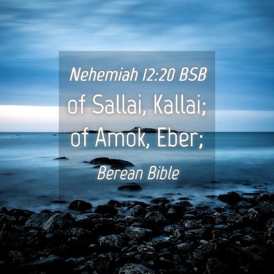 Picture 04 - Nehemiah 12:20 BSB - of Sallai, Kallai; of Amok, - Bible Verse Picture