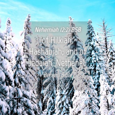 Picture 04 - Nehemiah 12:21 BSB - of Hilkiah, Hashabiah; and of Jedaiah, - Bible Verse Picture