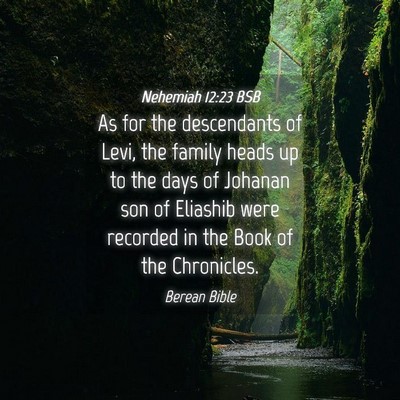 Picture 04 - Nehemiah 12:23 BSB - As for the descendants of Levi, the family heads - Bible Verse Picture