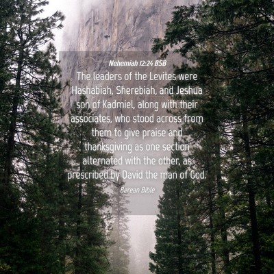 Picture 04 - Nehemiah 12:24 BSB - The leaders of the Levites were Hashabiah, - Bible Verse Picture