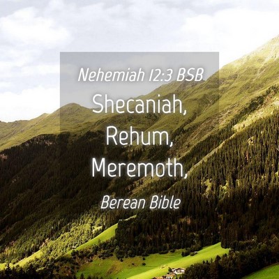 Picture 04 - Nehemiah 12:3 BSB - Shecaniah, Rehum, - Bible Verse Picture