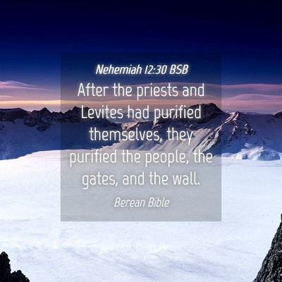 Picture 04 - Nehemiah 12:30 BSB - After the priests and Levites had purified - Bible Verse Picture