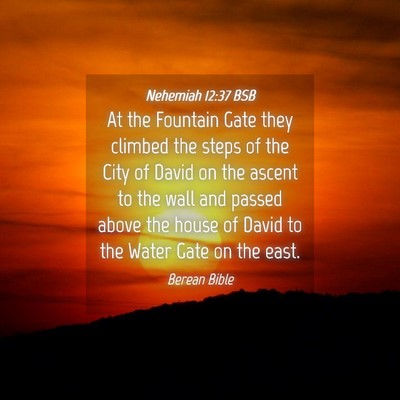 Picture 04 - Nehemiah 12:37 BSB - At the Fountain Gate they climbed the steps of - Bible Verse Picture