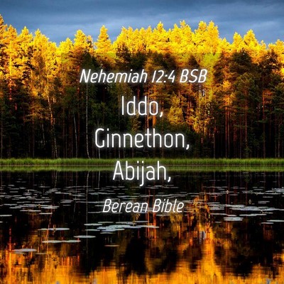 Picture 04 - Nehemiah 12:4 BSB - Iddo, Ginnethon, - Bible Verse Picture