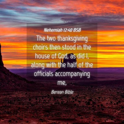 Picture 04 - Nehemiah 12:40 BSB - The two thanksgiving choirs then stood in the - Bible Verse Picture