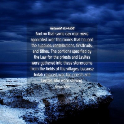 Picture 04 - Nehemiah 12:44 BSB - And on that same day men were appointed over the - Bible Verse Picture