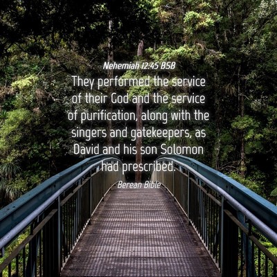 Picture 04 - Nehemiah 12:45 BSB - They performed the service of their God and the - Bible Verse Picture
