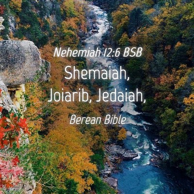 Picture 04 - Nehemiah 12:6 BSB - Shemaiah, Joiarib, - Bible Verse Picture