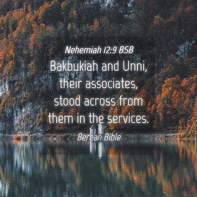Picture 04 - Nehemiah 12:9 BSB - Bakbukiah and Unni, their associates, stood - Bible Verse Picture