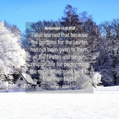 Picture 04 - Nehemiah 13:10 BSB - I also learned that because the portions for the - Bible Verse Picture