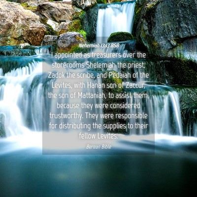 Picture 04 - Nehemiah 13:13 BSB - I appointed as treasurers over the storerooms - Bible Verse Picture
