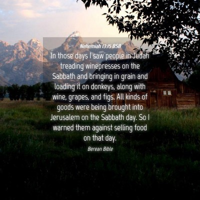 Picture 04 - Nehemiah 13:15 BSB - In those days I saw people in Judah treading - Bible Verse Picture