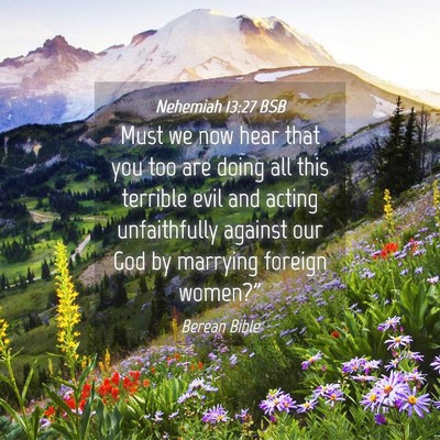 Picture 04 - Nehemiah 13:27 BSB - Must we now hear that you too are doing all this - Bible Verse Picture