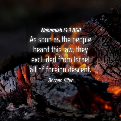 Picture 04 - Nehemiah 13:3 BSB - As soon as the people heard this law, they - Bible Verse Picture