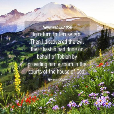 Picture 04 - Nehemiah 13:7 BSB - to return to Jerusalem. Then I discovered the - Bible Verse Picture