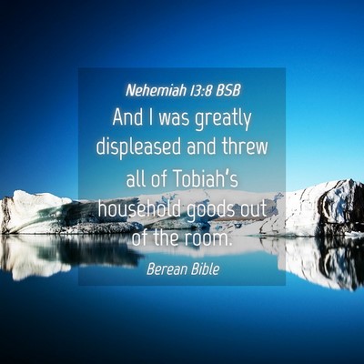 Picture 04 - Nehemiah 13:8 BSB - And I was greatly displeased and threw all of - Bible Verse Picture
