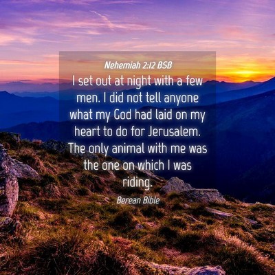 Picture 04 - Nehemiah 2:12 BSB - I set out at night with a few men. I did not tell - Bible Verse Picture