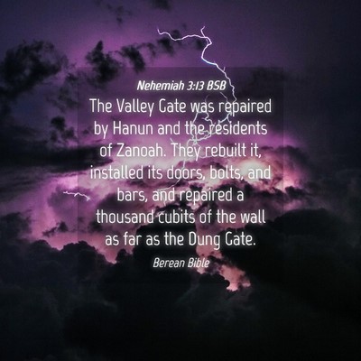 Picture 04 - Nehemiah 3:13 BSB - The Valley Gate was repaired by Hanun and the - Bible Verse Picture
