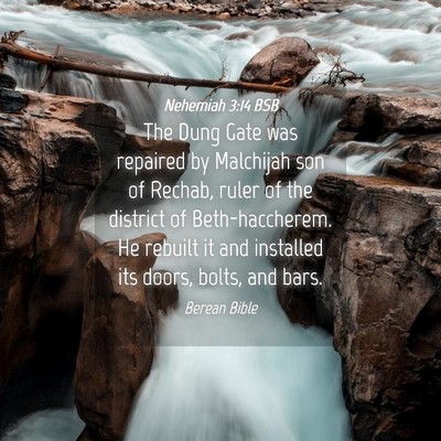 Picture 04 - Nehemiah 3:14 BSB - The Dung Gate was repaired by Malchijah son of - Bible Verse Picture