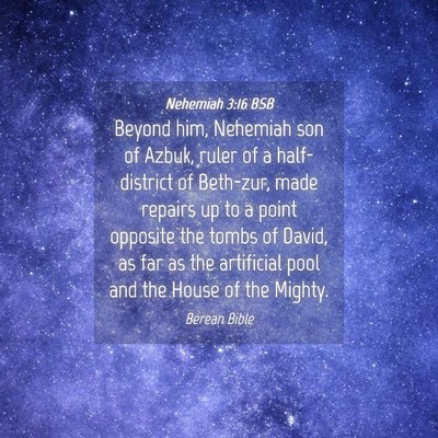 Picture 04 - Nehemiah 3:16 BSB - Beyond him, Nehemiah son of Azbuk, ruler of a - Bible Verse Picture