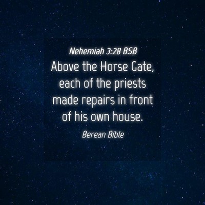 Picture 04 - Nehemiah 3:28 BSB - Above the Horse Gate, each of the priests made - Bible Verse Picture