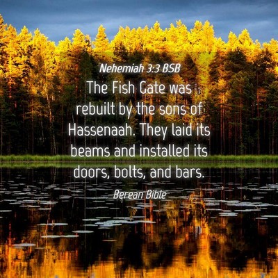 Picture 04 - Nehemiah 3:3 BSB - The Fish Gate was rebuilt by the sons of - Bible Verse Picture