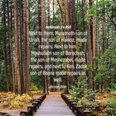Picture 04 - Nehemiah 3:4 BSB - Next to them, Meremoth son of Uriah, the son of - Bible Verse Picture