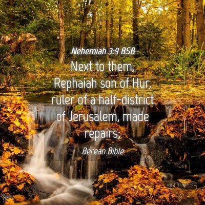 Picture 04 - Nehemiah 3:9 BSB - Next to them, Rephaiah son of Hur, ruler of a - Bible Verse Picture