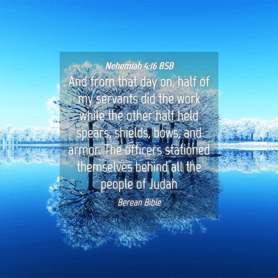 Picture 04 - Nehemiah 4:16 BSB - And from that day on, half of my servants did the - Bible Verse Picture
