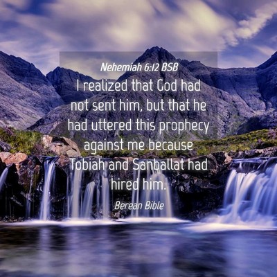 Picture 04 - Nehemiah 6:12 BSB - I realized that God had not sent him, but that he - Bible Verse Picture