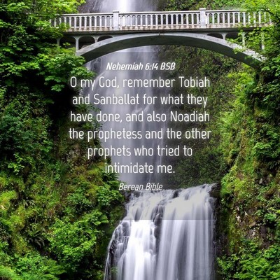 Picture 04 - Nehemiah 6:14 BSB - O my God, remember Tobiah and Sanballat for what - Bible Verse Picture