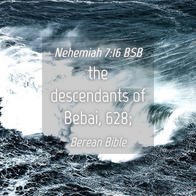 Picture 04 - Nehemiah 7:16 BSB - the descendants of Bebai, - Bible Verse Picture