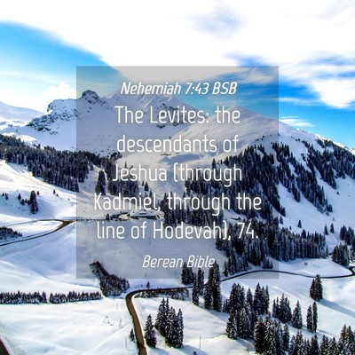 Picture 04 - Nehemiah 7:43 BSB - The Levites: the descendants of Jeshua (through - Bible Verse Picture