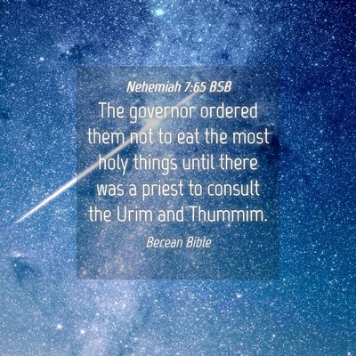 Picture 04 - Nehemiah 7:65 BSB - The governor ordered them not to eat the most - Bible Verse Picture
