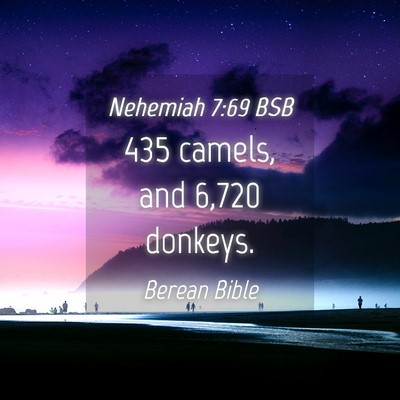 Picture 04 - Nehemiah 7:69 BSB - 435 camels, and 6,720 - Bible Verse Picture