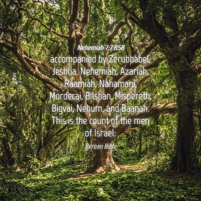 Picture 04 - Nehemiah 7:7 BSB - accompanied by Zerubbabel, Jeshua, Nehemiah, - Bible Verse Picture
