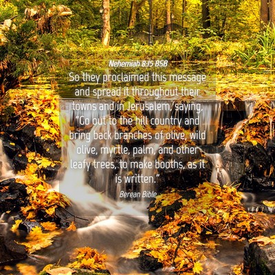 Picture 04 - Nehemiah 8:15 BSB - So they proclaimed this message and spread it - Bible Verse Picture