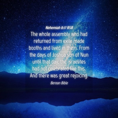 Picture 04 - Nehemiah 8:17 BSB - The whole assembly who had returned from exile - Bible Verse Picture