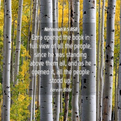 Picture 04 - Nehemiah 8:5 BSB - Ezra opened the book in full view of all the - Bible Verse Picture