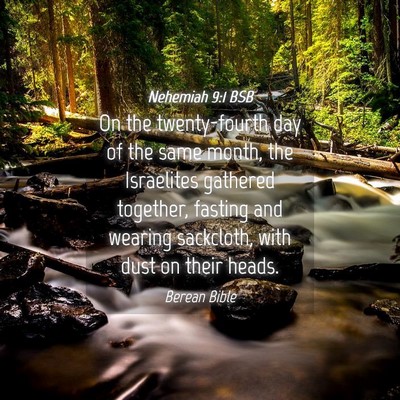 Picture 04 - Nehemiah 9:1 BSB - On the twenty-fourth day of the same month, the - Bible Verse Picture