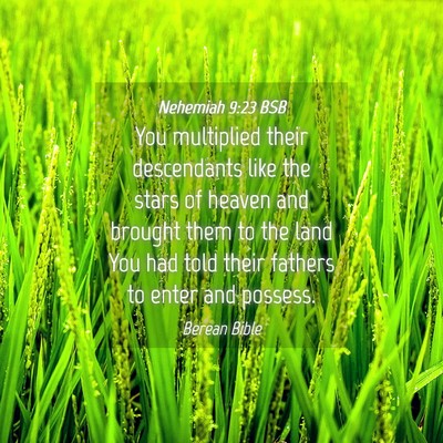 Picture 04 - Nehemiah 9:23 BSB - You multiplied their descendants like the stars - Bible Verse Picture