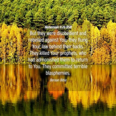 Picture 04 - Nehemiah 9:26 BSB - But they were disobedient and rebelled against - Bible Verse Picture