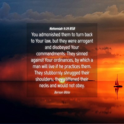 Picture 04 - Nehemiah 9:29 BSB - You admonished them to turn back to Your law, but - Bible Verse Picture